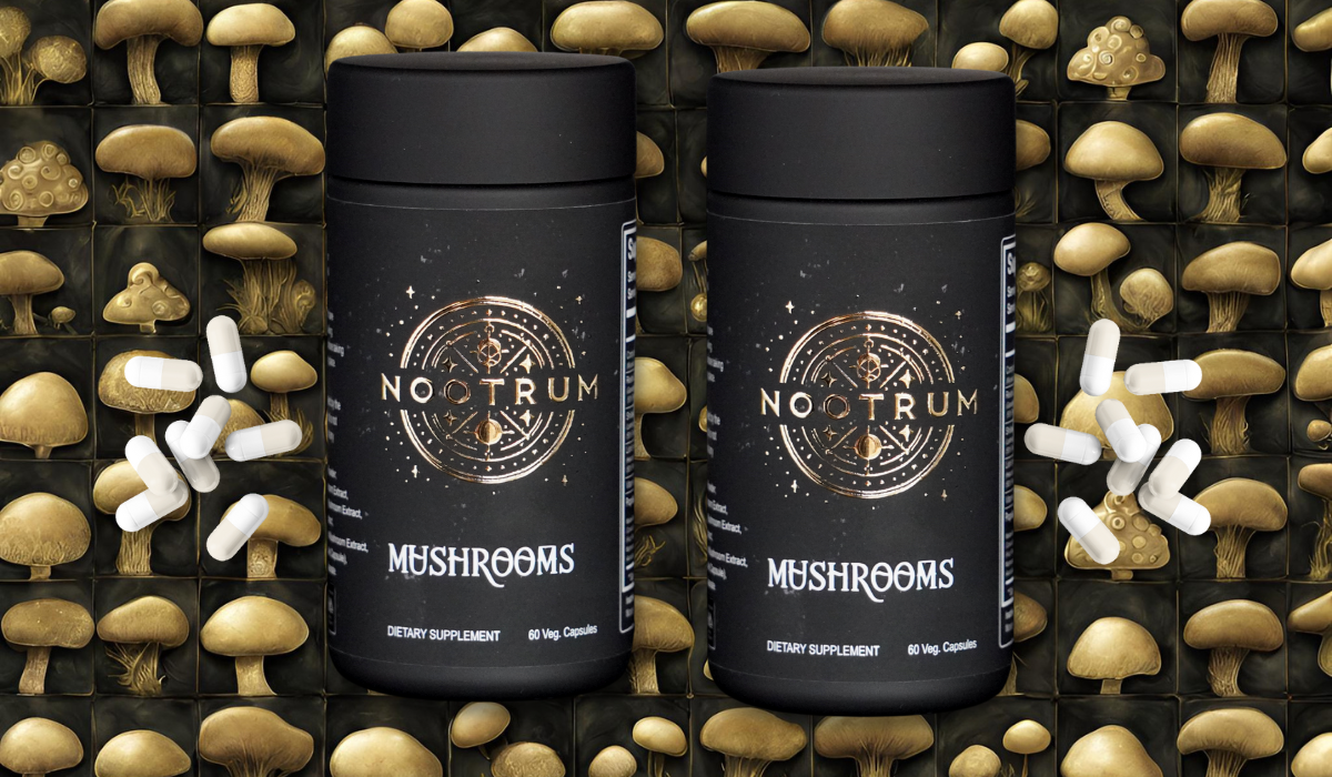 Home page – Nootrum