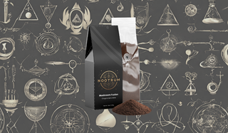 Mushroom Coffee Fusion - Lion’s Mane & Chaga 12oz